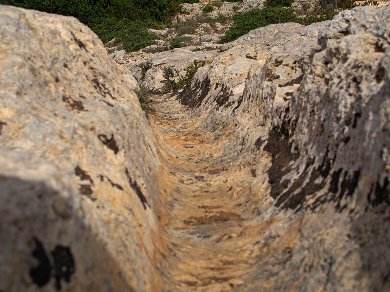 Clapham Junction, Cart Ruts
        (Prehistoric)